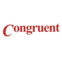 Congruent Software Inc image 1